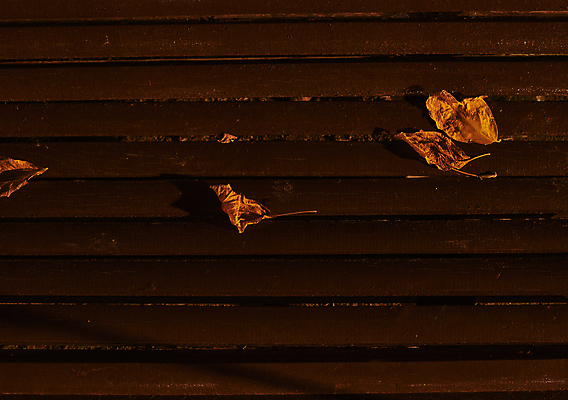 포토 JPG 해외이미지 나무 계절 공원 백그라운드 컨셉 단풍 잎 패턴 벤치 의자 오렌지 자연 벽지 추상 프레임 건조 풍경 사람없음 야외 장식 빨간색 빛 갈색 노란색 평화 환경 정원 맑음 산책 덮개 가을 도시 황금 숲 은퇴 유기농 질감 장면 내추럴 블러 해외포토 식물 웰빙 공공시설 컬러 가구 무늬 과일 날씨 휴식 뚜껑 생태계 파일형식 이미지허브