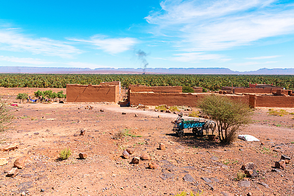 포토 JPG 해외이미지 나무 식물 전통 벽 여행 백그라운드 건축양식 아프리카 자연 하늘 산 주택 건조 손바닥 풍경 사람없음 야외 건물 파란색 야자수 농장 탑 계곡 카트 사막 역사 숲 타운 당나귀 모로코 사하라 옛날 오아시스 지도책 해외포토 건축물 손 건축 나라 컬러 농업 책 도시 말_동물 생태계 파일형식 이미지허브