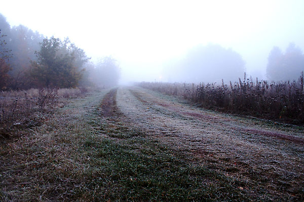 포토 JPG 해외이미지 식물 1 계절 공원 야생동물 여행 백그라운드 밭 오렌지 자연 하늘 아침 날씨 사람없음 야외 초록색 빛 햇빛 태양 뷰티 일출 환경 맑음 일몰 봄 추위 안개 흰색 시골 신선 저녁 땅 서리 내추럴 생태학 해외포토 주간 자연요소 동물 공공시설 교육 컬러 농업 과일 노을 야간 생태계 파일형식 이미지허브