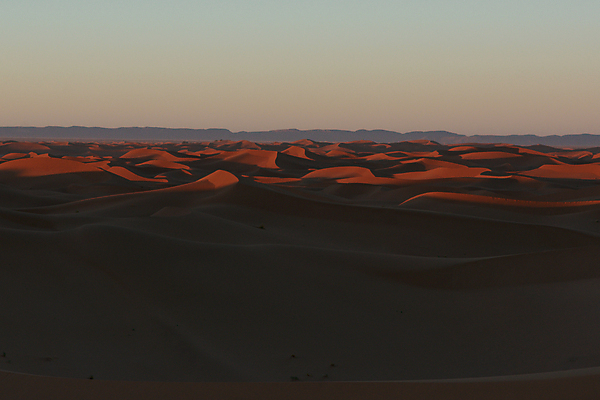 포토 JPG 해외이미지 모래 여행 백그라운드 컨셉 오렌지 아프리카 자연 하늘 건조 그림자 풍경 사람없음 야외 빨간색 여름 모래사장 태양 맑음 일몰 운전 사막 탐험 뜨거움 황무지 큼 모래언덕 언덕 지역 가뭄 멀리 모로코 사하라 오지 수평선 해외포토 자연요소 계절 나라 바다 컬러 과일 모션 날씨 노을 크기 생태계 파일형식 이미지허브