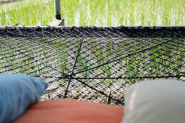 포토 JPG 해외이미지 밧줄 밭 베개 휴식 사람없음 야외 정원 검은색 침대 잠 그물 실 해외포토 줄 컬러 가구 컨셉 농업 침구 파일형식 이미지허브