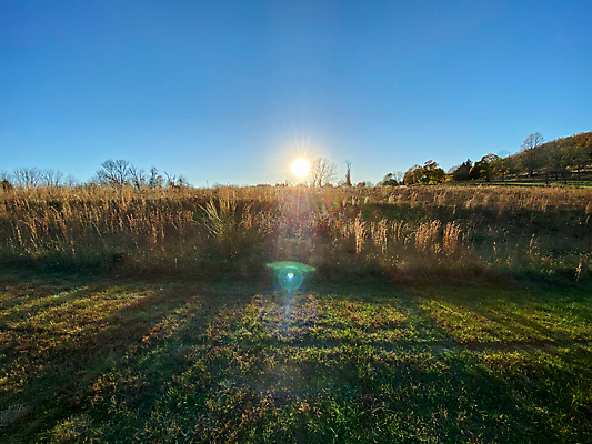 포토 JPG 해외이미지 구름 백그라운드 밭 농업 자연 벽지 하늘 추상 파노라마 옥수수 풍경 사람없음 야외 가로 초록색 파란색 빛 농작물 컬러풀 햇빛 태양 노란색 일출 환경 황혼 일몰 새벽 수확 성장 변화 오두막 땅 시리얼 밀 장면 공상 넘어짐 카피스페이스 해외포토 자연요소 산업 음식 컬러 컨셉 무늬 모션 곡류 촬영기법 노을 공백 생태계 파일형식 이미지허브