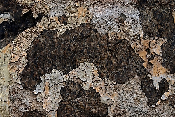 포토 JPG 해외이미지 디자인 벽 백그라운드 패턴 건축양식 표면 날씨 추상 사람없음 목재 빨간색 물 파란색 갈색 금속 수영 페인트 공백 회색 수확 흰색 거친 균열 철 묘사 부식 질감 시멘트 그런지 석고 옛날 철강 콘크리트 카피스페이스 해외포토 자연요소 나무 건축 컬러 무늬 농업 재료 모션 재질 수상스포츠 파일형식 이미지허브