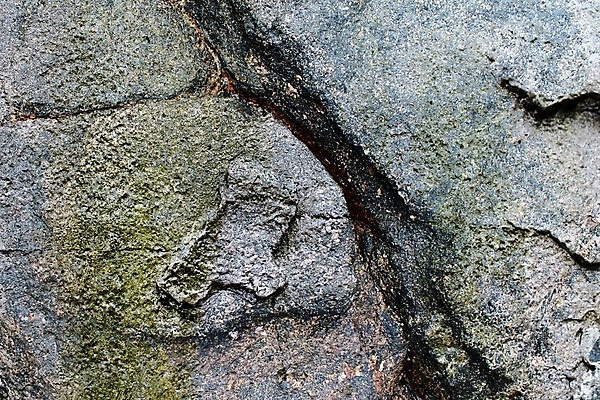 포토 JPG 해외이미지 나무 디자인 종이 벽 백그라운드 패턴 자연 벽지 표면 날씨 추상 미술 사람없음 목재 파란색 컬러풀 갈색 금속 페인트 회색 수확 거친 질감 복고 시멘트 나무껍질 내추럴 그런지 옛날 콘크리트 화강암 카피스페이스 해외포토 식물 컬러 무늬 농업 재료 재질 문화예술 공백 껍질 암석 생태계 파일형식 이미지허브