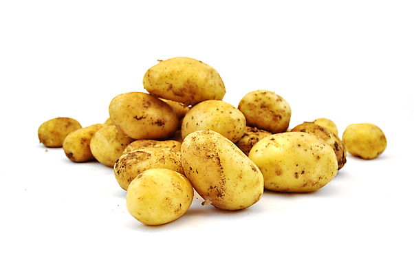 포토 JPG 해외이미지 식물 지구 음식 조각 밭 농업 다이어트 채소 재료 자연 감자 건강 사람없음 여름 농장 갈색 노란색 흙 수확 성장 흰색 신선 시장 횡단보도 달콤 자르기 유기농 날것 뿌리 성분 내추럴 옛날 줄서기 채식주의자 많음 해외포토 웰빙 계절 산업 컬러 컨셉 모션 보행로 맛 생태계 채식 파일형식 이미지허브