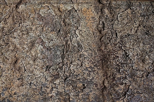 포토 JPG 해외이미지 디자인 벽 백그라운드 패턴 건축양식 표면 날씨 추상 사람없음 목재 빨간색 물 파란색 갈색 금속 수영 페인트 공백 회색 수확 바위 흰색 거친 균열 철 묘사 부식 질감 시멘트 그런지 석고 옛날 철강 콘크리트 카피스페이스 해외포토 자연요소 나무 건축 컬러 무늬 농업 재료 모션 재질 돌_바위 수상스포츠 파일형식 이미지허브