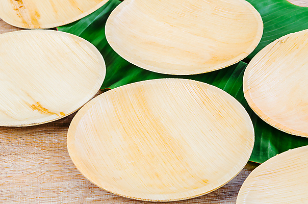 포토 JPG 해외이미지 잎 실내 사람없음 자연보호 에코 친환경 일렬 에코라이프 나무접시 친환경제품 제로웨이스트 나무배경 해외포토 식물 라이프스타일 접시 백그라운드 자연 내부 환경 그린캠페인 보호 사회이슈 파일형식 이미지허브