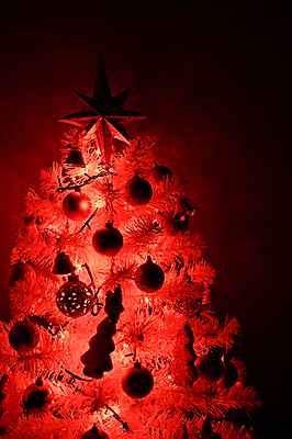 포토 JPG 해외이미지 나무 계절 별 크리스마스장식 크리스마스 매달리기 선물 사람없음 장식 빨간색 초록색 반짝임 크리스마스트리 축제 화환 장식볼 흰색 화려 황금 우아함 주기 전나무 고립 크리스마스이브 해외포토 자연요소 식물 기념일 꽃 컬러 컨셉 모션 파일형식 이미지허브