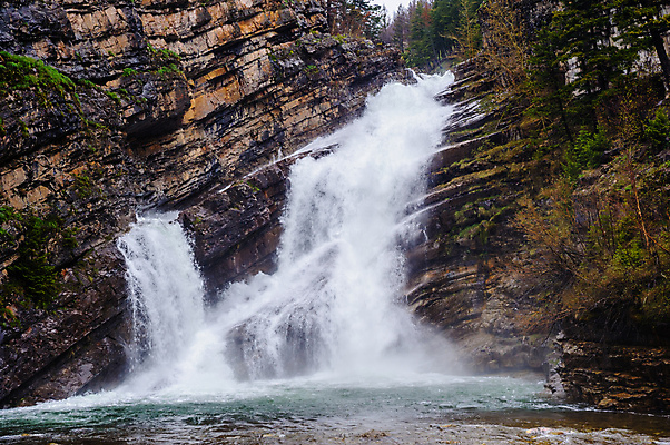 포토 JPG 해외이미지 나무 이동 캐나다 모션 자연 풍경 사람없음 야외 물 강 갈색 환경 폭포 젖음 흐름 바위 신선 거친 액체 개울 황무지 떨어짐 부식 지역 암초 대각선 내추럴 앨버타 지질학 스플래쉬 막 해외포토 자연요소 식물 교육 선 컬러 컨셉 북아메리카 돌_바위 생태계 파일형식 이미지허브