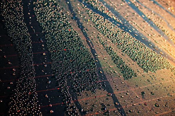 포토 JPG 해외이미지 나무 구름 안경 여행 백그라운드 겨울 패턴 오렌지 자동차 자연 하늘 아침 날씨 그림자 사람없음 물 빛 햇빛 태양 반사 일출 검은색 어둠 일몰 거품 젖음 추위 안개 물방울 신선 이슬 수분 빗방울 질감 내추럴 효과 해외포토 주간 자연요소 식물 잡화 계절 육상교통 컬러 무늬 과일 노을 비_날씨 생태계 파일형식 이미지허브