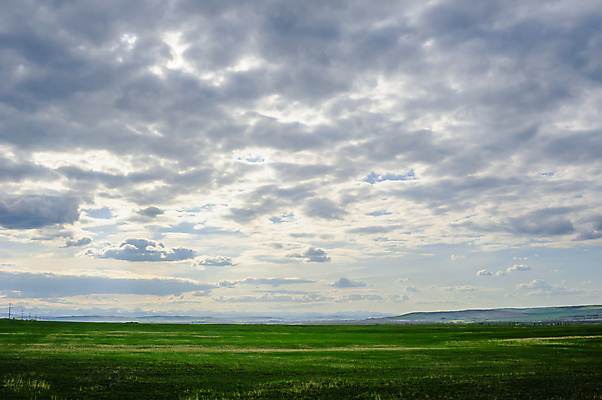 포토 JPG 해외이미지 구름 캐나다 밭 농업 자연 하늘 산 거리 풍경 사람없음 야외 초록색 뷰티 목장 자유 시골 큼 땅 언덕 멀리 내추럴 서쪽 스텝 앨버타 수평선 해외포토 자연요소 산업 컬러 컨셉 북아메리카 크기 방향 생태계 파일형식 이미지허브