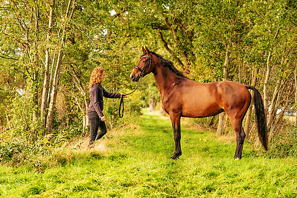 포토 JPG 해외이미지 나무 동물 공원 행복 스포츠 여행 백그라운드 단풍 잎 한명 풍경 야외 빨간색 초록색 컬러풀 햇빛 태양 농장 갈색 노란색 자유 가을 승마 황금 저녁 숲 내추럴 부스 성인여자만 해외포토 자연요소 식물 1 계절 공공시설 감정 컬러 컨셉 농업 사람 야간 여자만 성인만 파일형식 이미지허브