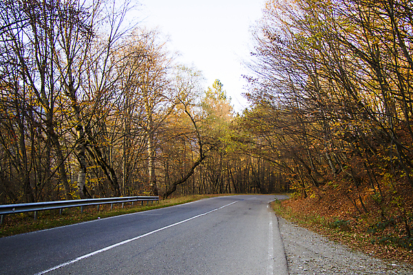 포토 JPG 해외이미지 도로 선 여행 백그라운드 이동 교통시설 자동차 자연 하늘 거리 사람없음 야외 초록색 파란색 태양 노란색 맑음 일몰 운전 시골 고속도로 땅 속도 장면 내추럴 방법 자동 조지아 수평선 해외포토 자연요소 길 육상교통 컬러 교통 컨셉 모션 날씨 노을 시설 생태계 동유럽 파일형식 이미지허브