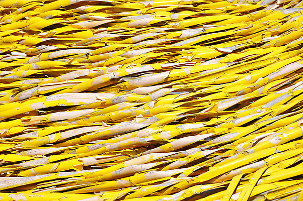 포토 JPG 해외이미지 디자인 지구 모래 백그라운드 패턴 자연 건조 사람없음 사막 바위 땅 부식 질감 결 내추럴 땅바닥 파케트 해외포토 무늬 바닥 돌_바위 생태계 파일형식 이미지허브