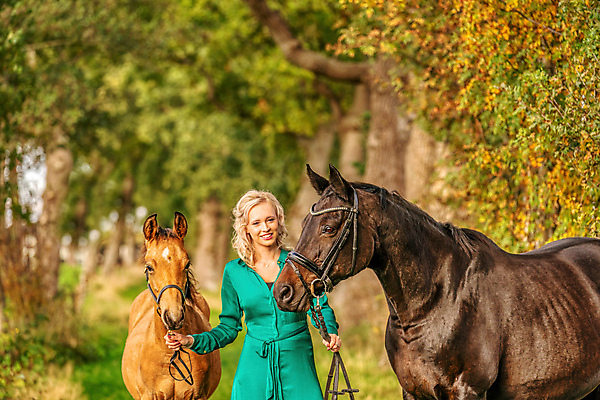 포토 JPG 해외이미지 동물 응시 행복 백그라운드 자연 함께함 사랑 한명 풍경 야외 초록색 빛 햇빛 태양 뷰티 농장 갈색 일출 맑음 가축 일몰 에너지 자유 시골 신생아 승마 황금 숲 내추럴 망아지 강조 해외포토 자연요소 1 시선 감정 새끼 스포츠 컬러 컨셉 농업 날씨 사람 노을 아기 말_동물 생태계 파일형식 이미지허브