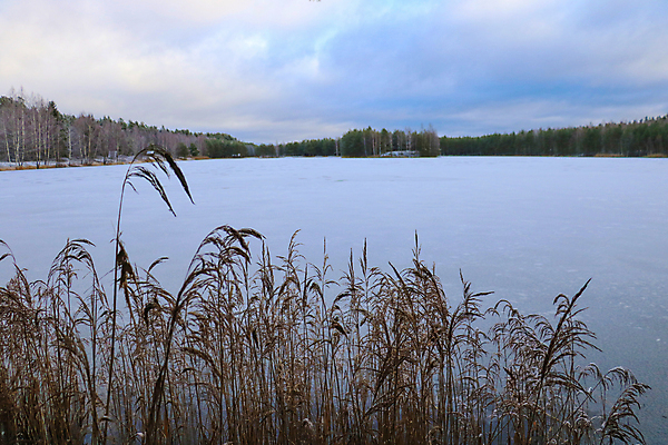 포토 JPG 해외이미지 나무 계절 공원 호수 여행 백그라운드 겨울 자연 하늘 표면 날씨 산 사람없음 야외 목재 물 파란색 햇빛 태양 뷰티 환경 냉동 얼음 일몰 추위 덮개 흰색 연못 숲 12월 서리 장면 북쪽 전나무 1월 내추럴 넘어짐 눈내림 해외포토 자연요소 식물 공공시설 컬러 재료 모션 눈_날씨 노을 뚜껑 날짜 방향 생태계 파일형식 이미지허브