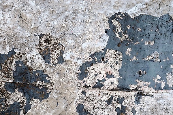 포토 JPG 해외이미지 디자인 벽 백그라운드 패턴 건축양식 표면 날씨 추상 사람없음 목재 빨간색 물 파란색 갈색 금속 수영 페인트 공백 회색 수확 흰색 거친 균열 철 묘사 부식 질감 시멘트 그런지 석고 옛날 철강 콘크리트 카피스페이스 해외포토 자연요소 나무 건축 컬러 무늬 농업 재료 모션 재질 수상스포츠 파일형식 이미지허브