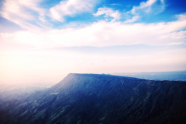 포토 JPG 해외이미지 나무 구름 계절 꽃잎 꽃 아시아 잎 겨울 밭 가족 태국 자연 하늘 아침 산 잔디 사람없음 초록색 여름 파란색 빛 햇빛 태양 일출 일몰 봄 들꽃 벚꽃 흰색 언덕 데이지 캐모마일 해외포토 주간 자연요소 식물 나라 컬러 농업 관계 노을 허브 생태계 파일형식 이미지허브