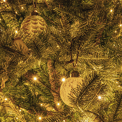 포토 JPG 해외이미지 나무 전통 라이프스타일 디자인 계절 행복 백그라운드 크리스마스 겨울 공 휴가 새해 주택 기념 실내 선물 사람없음 내부 장식 빛 소파 축제 화환 방 나뭇가지 축하 황금 클래식 편안함 12월 연도 전나무 스타일 해외포토 식물 기념일 꽃 감정 컨셉 의자 건물 생활 감각 날짜 파일형식 이미지허브