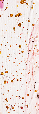 포토 JPG 해외이미지 분홍색 백그라운드 사람없음 빨간색 금색 혼합 뿌리기 질감 캔버스 아크릴물감 해외포토 컬러 모션 물감 파일형식 이미지허브