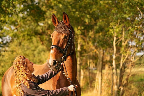 포토 JPG 해외이미지 나무 동물 공원 행복 스포츠 여행 백그라운드 단풍 잎 자연 한명 풍경 야외 빨간색 초록색 컬러풀 햇빛 태양 농장 갈색 노란색 머리 자유 가을 승마 황금 저녁 숲 내추럴 굴레 대가리 해외포토 자연요소 식물 1 계절 공공시설 감정 컬러 컨셉 농업 사람 신체부위 야간 생태계 파일형식 이미지허브