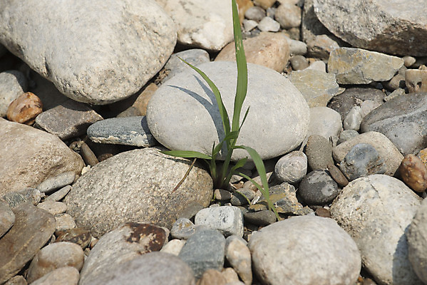 포토 JPG 해외이미지 건축물 선 백그라운드 패턴 표면 설계 사람없음 바위 계획 배열 심볼 질감 소재 암초 시스템 질서 순위 구성 지질학 해외포토 교육 건축 컨셉 무늬 돌_바위 예절 파일형식 이미지허브