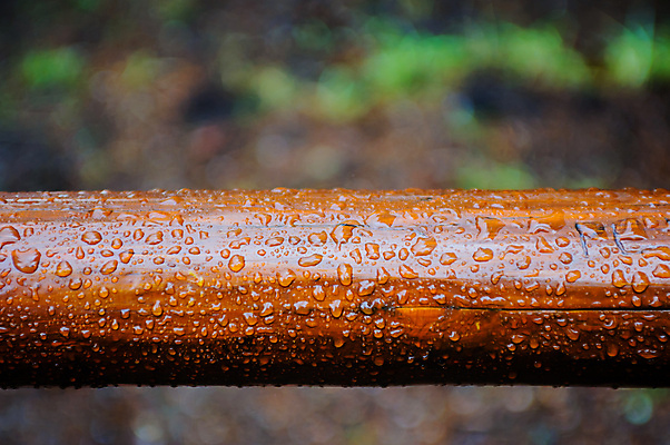 포토 JPG 해외이미지 캐나다 사람없음 야외 목재 물 갈색 젖음 물방울 나뭇가지 신선 떨어짐 수분 묘사 통나무 분무기 내추럴 샤워실 세련 해외포토 자연요소 나무 컬러 컨셉 북아메리카 재료 샤워시설 파일형식 이미지허브