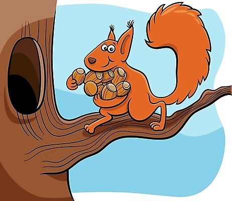 EPS 해외이미지 나무 일러스트 하늘 들기 사람없음 갈색 다람쥐 도토리 해외일러스트 식물 컬러 모션 견과류 설치류 파일형식 벡터 이미지허브