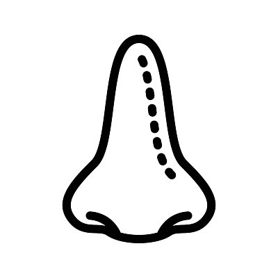 EPS 해외이미지 클립아트 여자 얼굴 선 신체 일러스트 건강 치료 뷰티 약 화장품 수술 플랫 플라스틱 하락 피부 그림 코 윤곽 외과 순서 복원 해외일러스트 컨셉 의학 재질 병원 사람 신체부위 파일형식 벡터 이미지허브