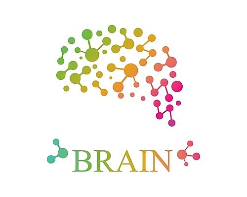EPS 해외이미지 디자인 실루엣 과학 컨셉 일러스트 비즈니스 해부 추상 아이디어 건강 미술 사람 약 머리 힘 마음 오르간 플랫 스마트 심볼 사인 뇌 신분 원자 인공 지능 활자 브레인스토밍 해외일러스트 무늬 의학 문화예술 촬영기법 신체부위 건반악기 활자판 파일형식 벡터 악기 건반 인쇄판 음악 인쇄 이미지허브