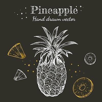 EPS 해외이미지 식물 손 선 조각 잎 과일 일러스트 자연 디저트 건강 미술 초록색 세트 노란색 칠판 수확 신선 달콤 스케치 심볼 파인애플 메뉴 그림 분필 유기농 날것 하와이 손그림 내추럴 고립 숙성 채식주의자 현실 해외일러스트 웰빙 음식 컬러 농업 문화예술 신체부위 미국 맛 열대과일 초크 생태계 채식 파일형식 벡터 이미지허브