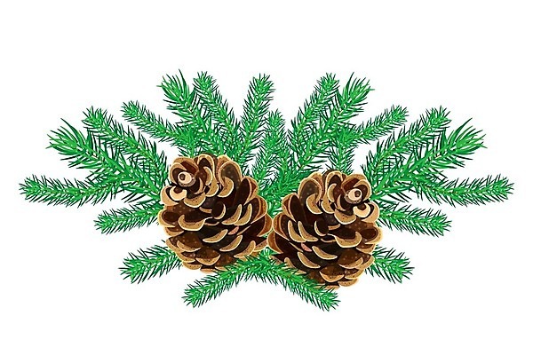 EPS 해외이미지 나무 식물 디자인 배너 계절 행복 꽃다발 크리스마스 겨울 일러스트 자연 휴가 새해 기념 그래픽 장식 초록색 축제 나뭇가지 축하 소나무 오브젝트 흰배경 엽서 초대 솔방울 상록수 침엽수 전나무 원뿔 내추럴 고립 노엘 삼나무 엘리먼트 가문비나무 해외일러스트 도형 기념일 꽃 감정 컬러 백그라운드 컨셉 흰색 편지 생태계 파일형식 벡터 이미지허브