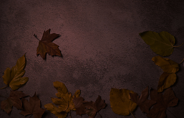 포토 JPG 해외이미지 나무 식물 계절 백그라운드 단풍 잎 텍스트 자연 표면 추상 잔디 사람없음 야외 목재 그래픽 가로 빛 갈색 노란색 환경 성장 가을 시골 죽음 역 고독 땅 허브 순수 생태계 질감 스위치 자원 대각선 내추럴 땅바닥 생태학 옛날 자금 카피스페이스 해외포토 교육 감정 선 컬러 컨셉 돈 무늬 재료 교통시설 바닥 금융 공백 파일형식 이미지허브