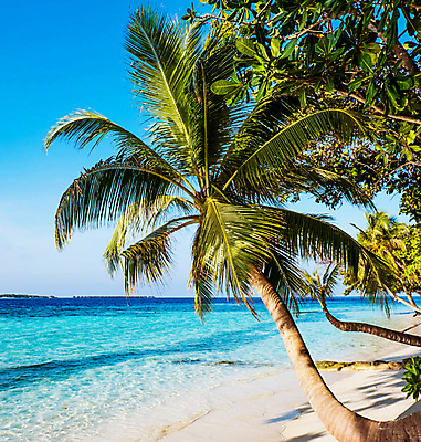 포토 JPG 해외이미지 여행 사람없음 몰디브 해외포토 아시아 파일형식 이미지허브