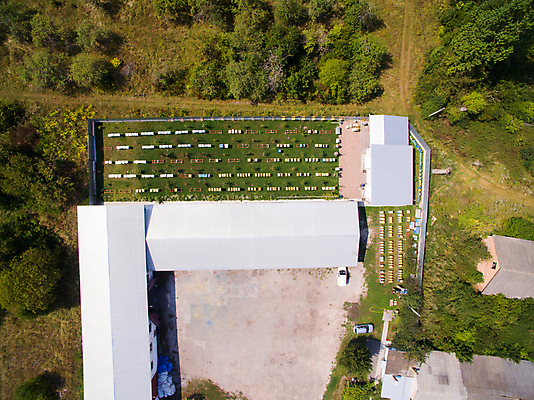 포토 JPG 해외이미지 동물 직업 음식 곤충 농업 자연 지붕 추상 안테나 건강 사람없음 목재 초록색 컬러풀 농장 노란색 정원 시골 달콤 꿀벌 유기농 꽃가루 꿀 벌집 내추럴 교외 드론 밀랍 밭일 생태학 양봉 양봉장 왁스 조감도 해외포토 나무 웰빙 교육 산업 컬러 무늬 재료 통신 맛 벌_곤충 가루 생태계 파일형식 이미지허브