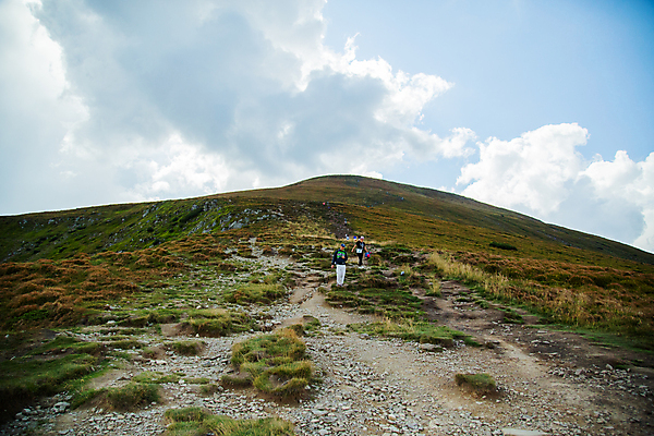 포토 JPG 해외이미지 나무 여행 백그라운드 자연 산 잔디 사람없음 야외 초록색 태양 우주 환경 맑음 봄 활발 시골 신선 내추럴 수평선 해외포토 자연요소 식물 계절 컬러 컨셉 날씨 생태계 파일형식 이미지허브