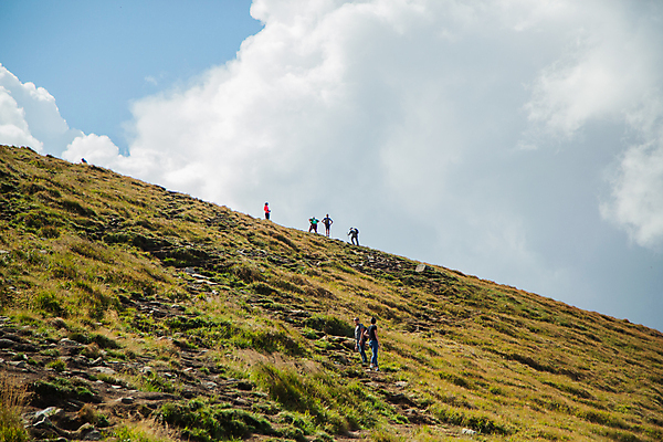 포토 JPG 해외이미지 나무 여행 백그라운드 자연 산 잔디 사람없음 야외 초록색 태양 우주 환경 맑음 봄 활발 시골 신선 내추럴 수평선 해외포토 자연요소 식물 계절 컬러 컨셉 날씨 생태계 파일형식 이미지허브