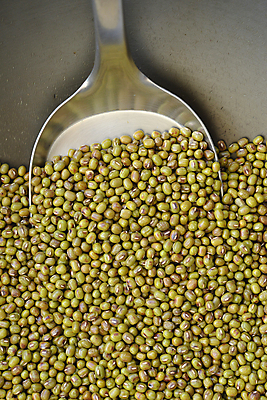 포토 JPG 해외이미지 식물 음식 백그라운드 채소 재료 자연 콩 건조 건강 씨앗 사람없음 초록색 쌓기 신선 그룹 낟알 먹기 철 유기농 날것 주걱 성분 흙더미 내추럴 단백질 생식 많음 비건 해외포토 웰빙 컬러 컨셉 모션 주방용품 곡류 흙 생태계 영양소 채식주의자 파일형식 더미 이미지허브