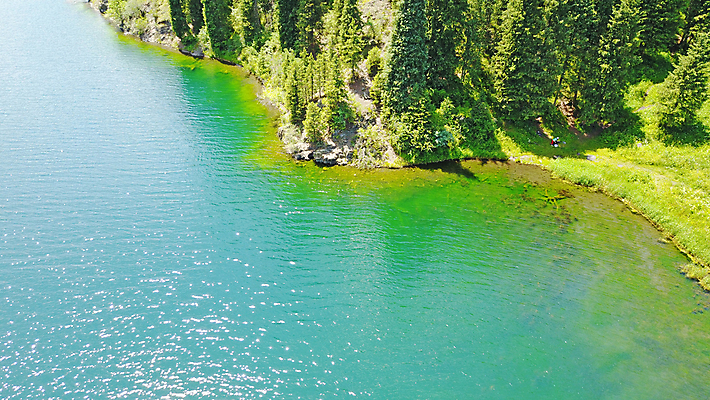 포토 JPG 해외이미지 나무 구름 공원 아시아 호수 여행 자국 자연 하늘 산 안테나 풍경 사람없음 야외 목재 초록색 물 여름 파란색 뷰티 여행객 환경 계곡 소나무 황무지 정상 숲 언덕 장면 전나무 드론 전국 카자흐스탄 해외포토 자연요소 식물 계절 공공시설 나라 컬러 재료 통신 사람 생태계 파일형식 이미지허브