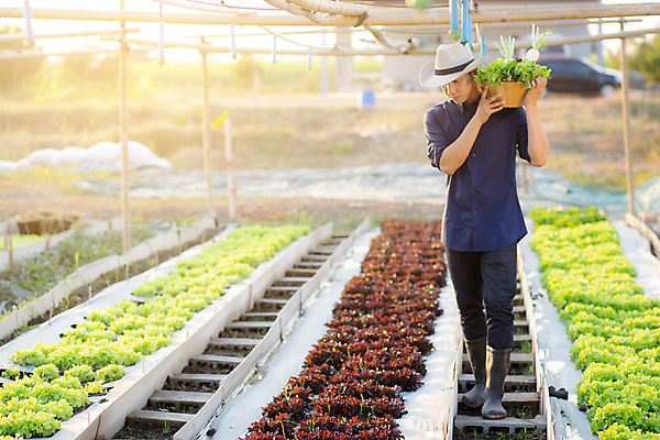 포토 JPG 해외이미지 주간 전신 남자 밭 농업 비즈니스 한명 들기 동양인 성인 야외 농작물 걷기 농사 농부 성인남자한명만 해외포토 자연요소 직업 1 산업 모션 사람 인종 남자한명만 성인남자만 파일형식 이미지허브
