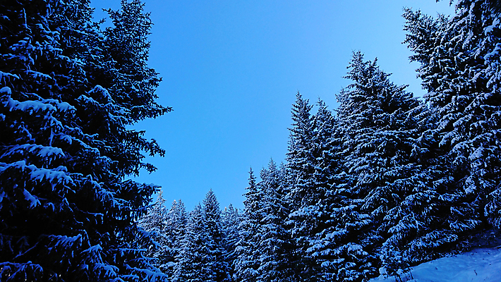 포토 JPG 해외이미지 나무 구름 계절 공원 여행 백그라운드 크리스마스 겨울 자연 하늘 휴가 산 풍경 사람없음 야외 목재 파란색 빛 태양 뷰티 얼음 추위 흰색 나뭇가지 숲 12월 서리 전나무 카자흐스탄 눈내림 환상 해외포토 자연요소 식물 공공시설 기념일 아시아 컬러 컨셉 재료 눈_날씨 날짜 생태계 파일형식 이미지허브