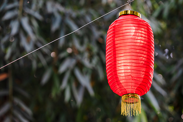 포토 JPG 해외이미지 나무 전통 디자인 아시아 종교 종이 문화 여행 백그라운드 휴가 기념 매달리기 미술 동양인 이벤트 사람없음 장식 빨간색 빛 컬러풀 축제 중국 등불 램프 축하 인사 행운 재산 심볼 대나무 동쪽 춘절 해외포토 식물 명절 나라 컬러 컨셉 모션 문화예술 조명 인종 금융 예절 방향 중국전통 파일형식 이미지허브