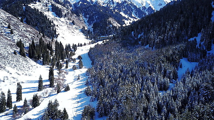 포토 JPG 해외이미지 나무 계절 스포츠 여행 겨울 자국 자연 하늘 휴가 산 안테나 파노라마 그림자 사람 풍경 사람없음 야외 파란색 빛 태양 골짜기 냉동 얼음 산책 트래킹 하이킹 추위 광선 흰색 그룹 정상 숲 드론 절정 하이커 눈내림 해외포토 자연요소 식물 컬러 통신 레저 휴식 눈_날씨 촬영기법 생태계 파일형식 이미지허브