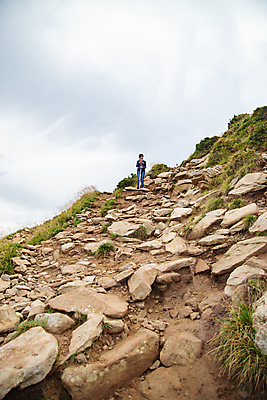 포토 JPG 해외이미지 나무 여행 백그라운드 자연 산 잔디 사람없음 야외 초록색 태양 우주 환경 맑음 봄 활발 시골 신선 내추럴 수평선 해외포토 자연요소 식물 계절 컬러 컨셉 날씨 생태계 파일형식 이미지허브