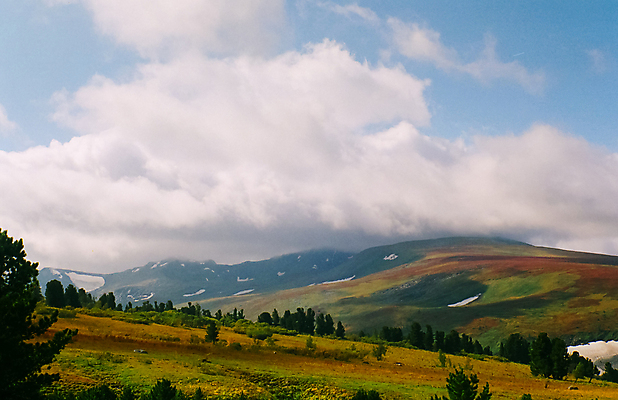 포토 JPG 해외이미지 나무 아시아 도로 백그라운드 꽃무늬 자연 산 사람없음 야외 목재 초록색 환경 안개 벚꽃 시골 소나무 황무지 가장자리 숲 신비 먼지 침엽수 전나무 러시아인 삼림지대 선로 시베리아 가문비나무 해외포토 서양인 식물 꽃 나라 길 컬러 컨셉 무늬 재료 교통시설 날씨 둘레 생태계 파일형식 이미지허브