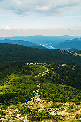 포토 JPG 해외이미지 나무 여행 백그라운드 자연 산 잔디 사람없음 야외 초록색 태양 우주 환경 맑음 봄 활발 시골 신선 내추럴 수평선 해외포토 자연요소 식물 계절 컬러 컨셉 날씨 생태계 파일형식 이미지허브