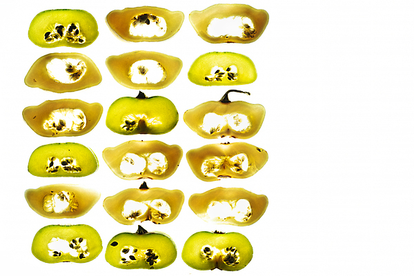 포토 JPG 해외이미지 1 할머니 음식 조각 백그라운드 채소 부분 호박 건강 사람없음 초록색 빛 햇빛 할로윈 수확 흰색 신선 원형 닫기 농부 자르기 크림 싱글 유기농 날것 슬라이스 박 가리비 패티 스쿼시 내추럴 창백 고립 생식 숙성 주키니호박 커스터드 해외포토 도형 직업 웰빙 여자 노년 스포츠 컬러 농업 모션 조개 태양 구기 파일형식 이미지허브