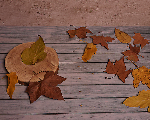 포토 JPG 해외이미지 나무 식물 계절 백그라운드 단풍 잎 텍스트 자연 표면 추상 잔디 사람없음 야외 목재 그래픽 가로 빛 갈색 노란색 환경 성장 가을 시골 죽음 역 고독 땅 허브 순수 생태계 질감 스위치 자원 대각선 내추럴 땅바닥 생태학 옛날 자금 카피스페이스 해외포토 교육 감정 선 컬러 컨셉 돈 무늬 재료 교통시설 바닥 금융 공백 파일형식 이미지허브