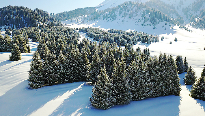 포토 JPG 해외이미지 나무 구름 여행 크리스마스 겨울 자국 자연 하늘 날씨 산 안테나 사람 풍경 사람없음 야외 파란색 달리기 태양 뷰티 소풍 얼음 트래킹 하이킹 추위 안개 흰색 소나무 그룹 정상 숲 그늘 서리 내추럴 드론 절정 조감도 눈내림 해외포토 자연요소 식물 계절 기념일 컬러 통신 모션 레저 눈_날씨 야외활동 생태계 파일형식 이미지허브
