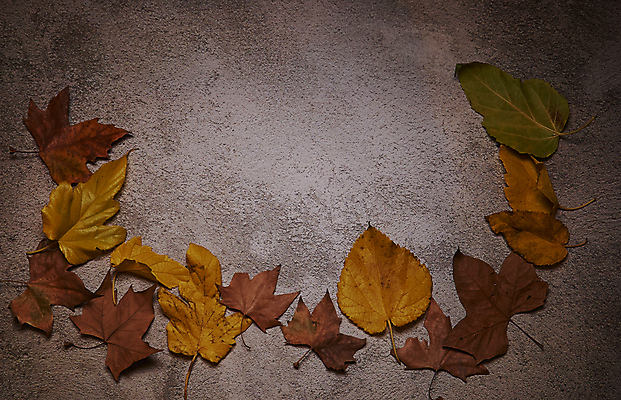 포토 JPG 해외이미지 나무 식물 계절 백그라운드 단풍 잎 텍스트 자연 표면 추상 잔디 사람없음 야외 목재 그래픽 가로 빛 갈색 노란색 환경 성장 가을 시골 죽음 역 고독 땅 허브 순수 생태계 질감 스위치 자원 대각선 내추럴 땅바닥 생태학 옛날 자금 카피스페이스 해외포토 교육 감정 선 컬러 컨셉 돈 무늬 재료 교통시설 바닥 금융 공백 파일형식 이미지허브